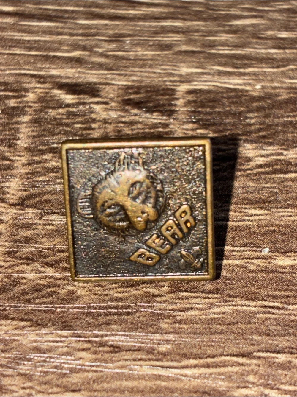 Vintage Bronze Tone Boy Scout Lot of 5 Lapel Pin Set